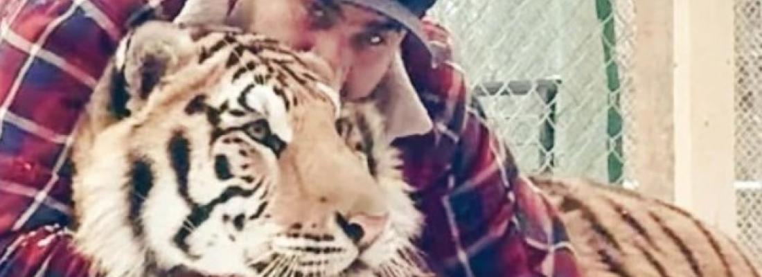 Zohaib Masood with one of the tigers he kept on his property.