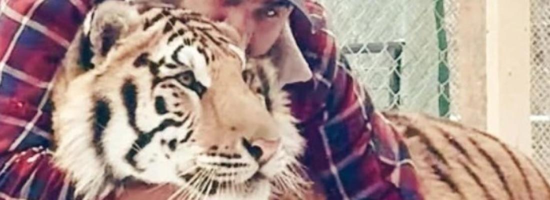 Zohaib Masood with one of the tigers he kept on his property.
