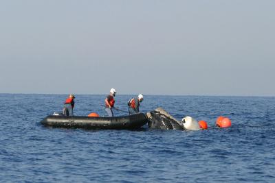 A rescue team helps free a right whale entangled in fishing gear. (Photo courtesy of NOAA Photo Library, via Wikimedia Commons.) A rescue team helps free a right whale entangled in fishing gear. (Photo courtesy of NOAA Photo Library, via Wikimedia Commons.)