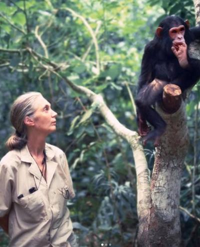 World-renowned scientist Dr. Jane Goodall. (Photo via Jane Goodall Institute’s Instragram page.)