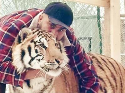 Zohaib Masood with one of the tigers he kept on his property.