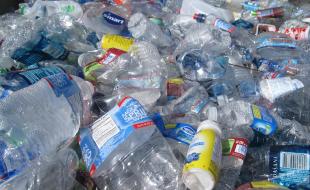 Plastic bottles contribute to pollution on land and in oceans. (Photo: Streetwise Cycle, Public domain, via Wikimedia Commons.)