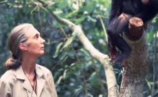 World-renowned scientist Dr. Jane Goodall. (Photo via Jane Goodall Institute’s Instragram page.)